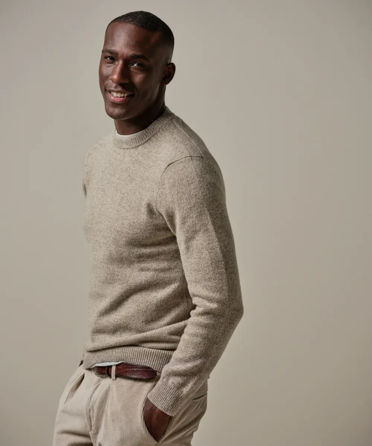 Afbeelding van PPWJ30028C F1 Heren Ronde Hals Trui - PROFUOMO