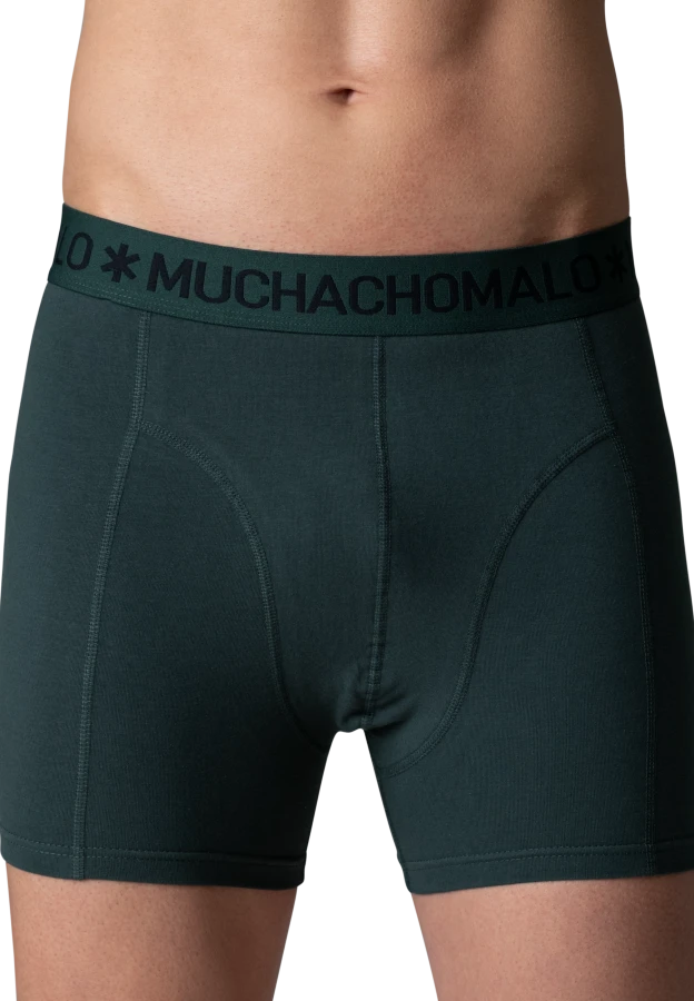 Afbeelding van HIDDENDRAGONS 3-Pack 01 Print/Print/Solid Heren Boxers - Muchachomalo