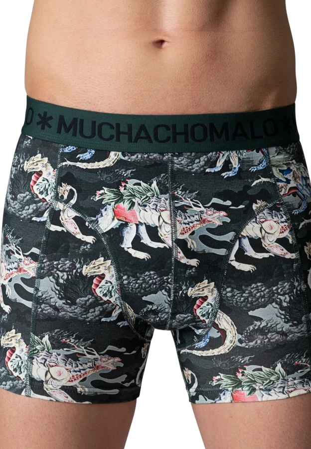 Afbeelding van HIDDENDRAGONS 3-Pack 01 Print/Print/Solid Heren Boxers - Muchachomalo