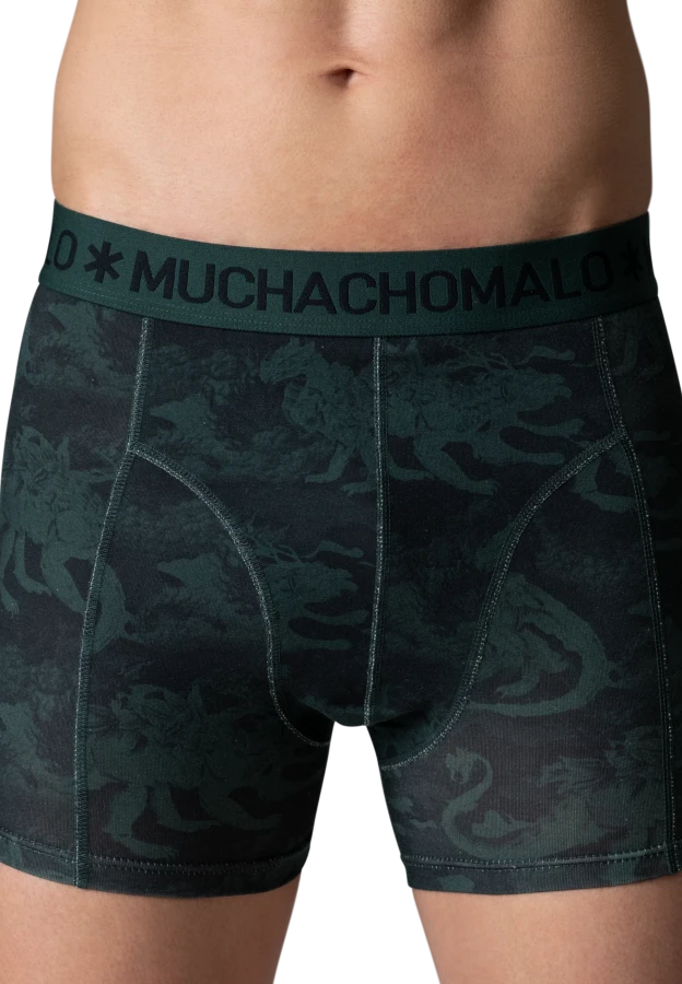 Afbeelding van HIDDENDRAGONS 3-Pack 01 Print/Print/Solid Heren Boxers - Muchachomalo